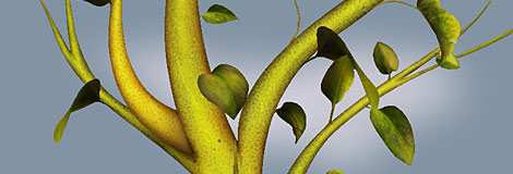 Semillero