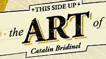 Catalin Bridinel
