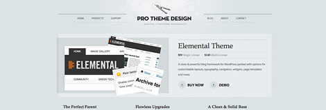 Pro Theme Design